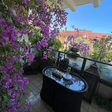 Cip's Brickhouse * Rome